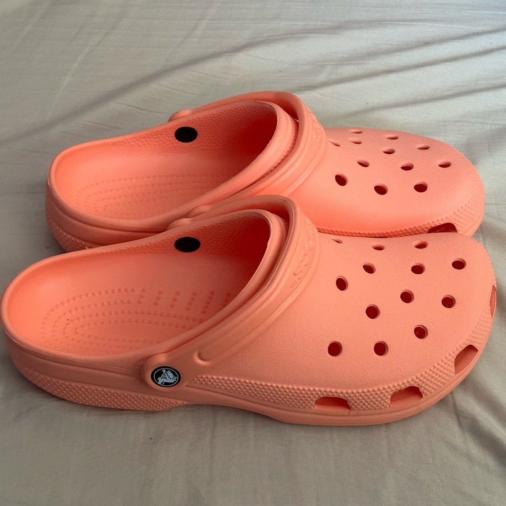 Brand new crocs never worn!